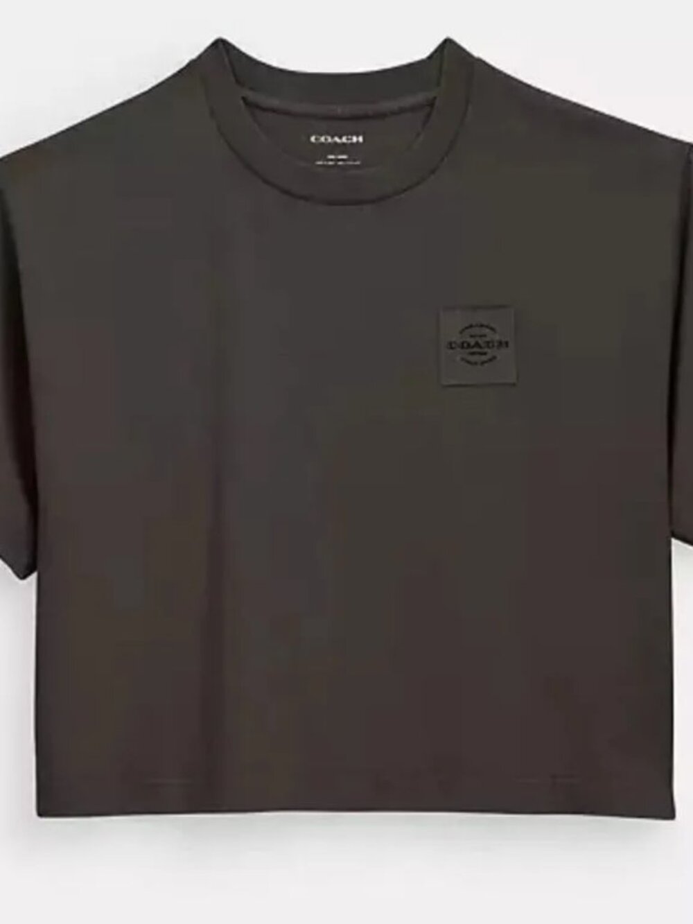 COACH Garment Dye Cropped T-Shirt Women's Size L Smoke CR359 L